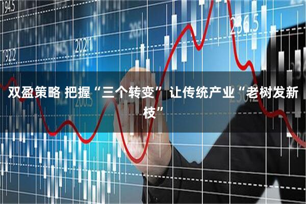 双盈策略 把握“三个转变” 让传统产业“老树发新枝”