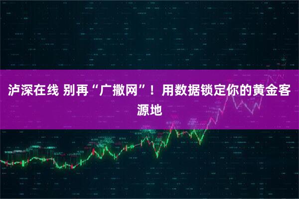 泸深在线 别再“广撒网”！用数据锁定你的黄金客源地