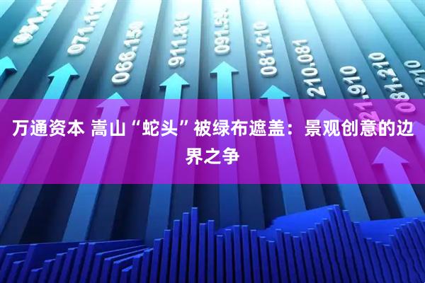 万通资本 嵩山“蛇头”被绿布遮盖：景观创意的边界之争